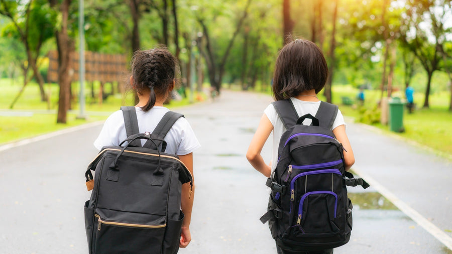 Pourquoi s'intéresser au « baluchon » de l'élève qui apprend à lire et à écrire?