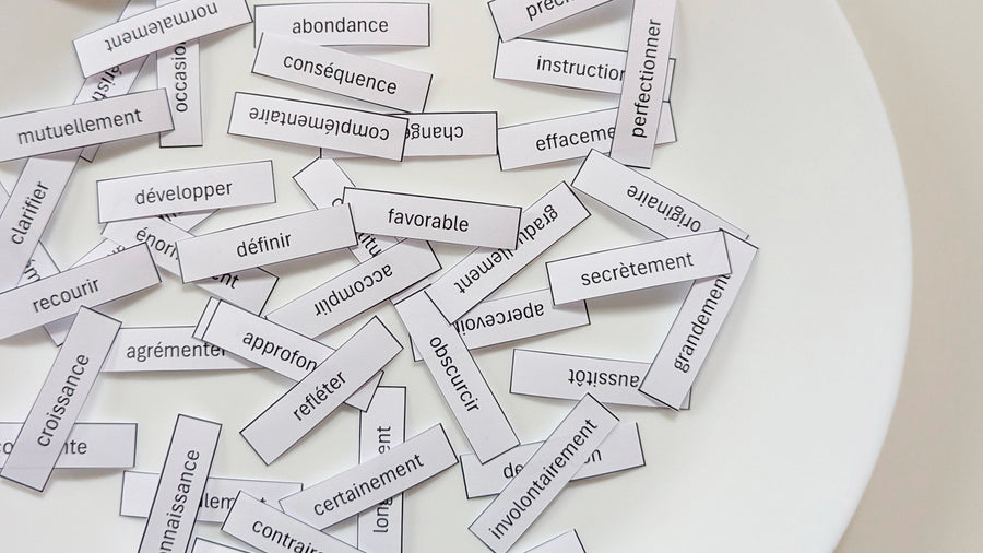 Comment développer la littératie par le vocabulaire? - Partie 1 : Quelle catégorie de vocabulaire cibler?