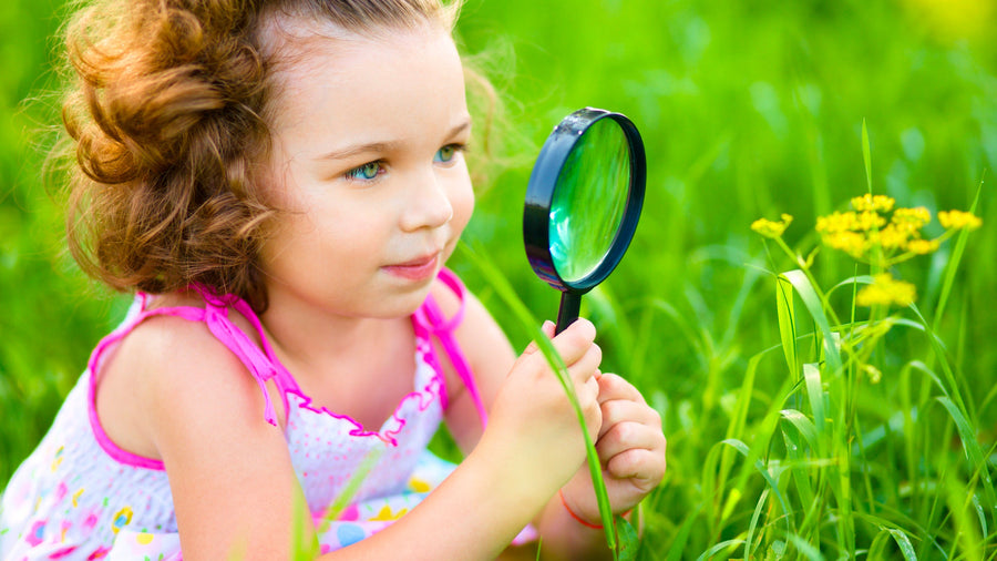 Pour que nature et apprentissage se rencontrent