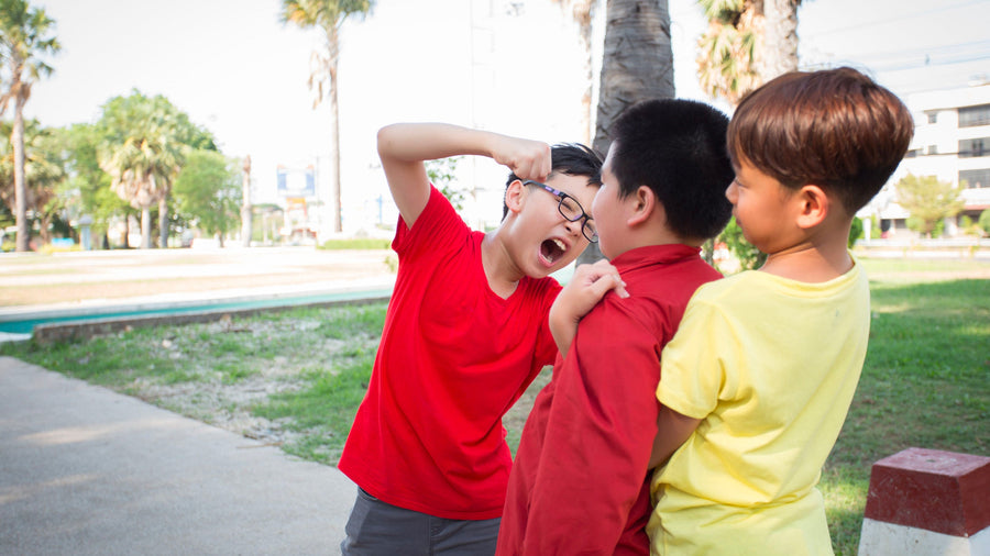 Troubles de comportement et langage oral: quelles relations?