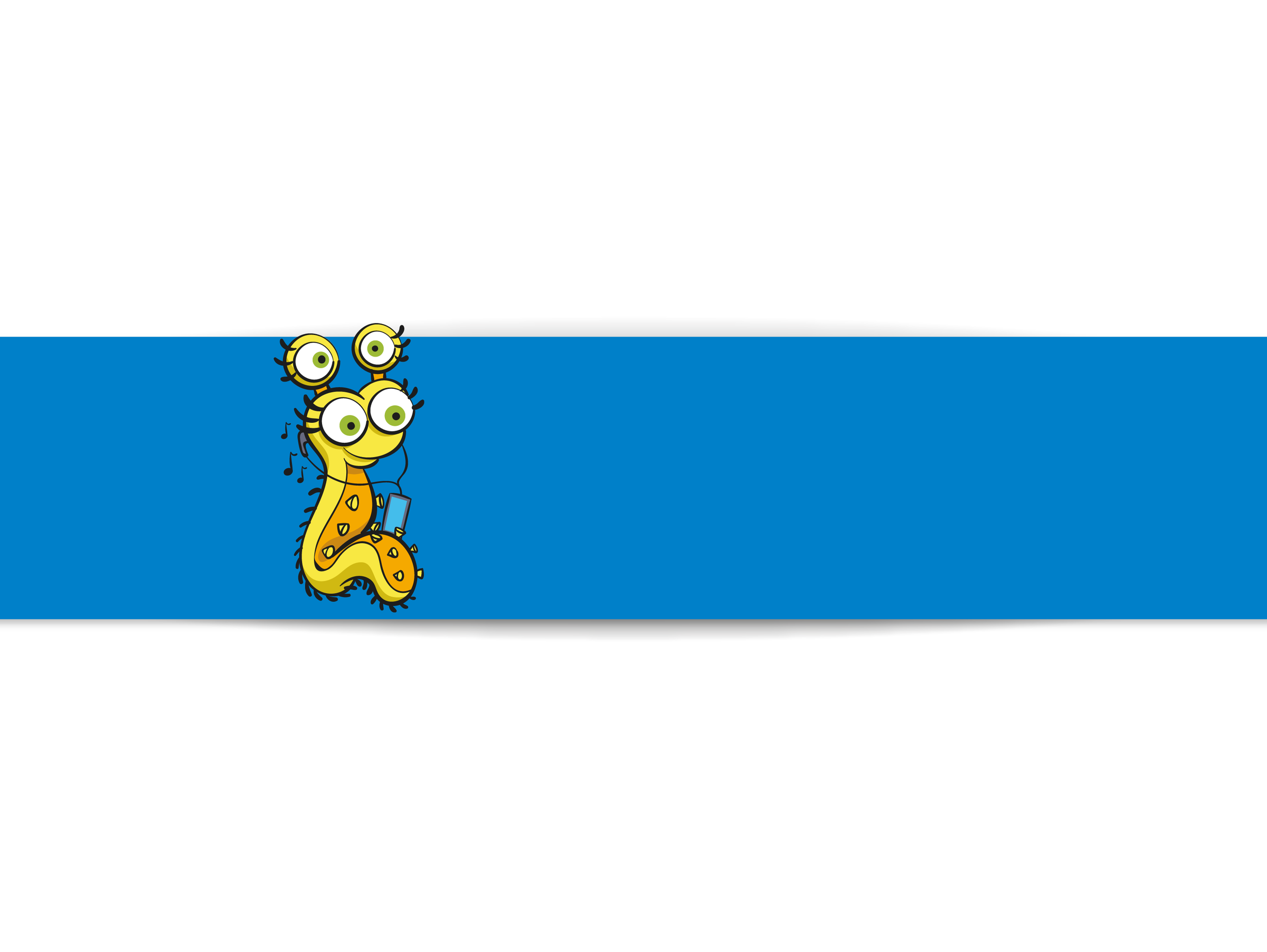 3e année