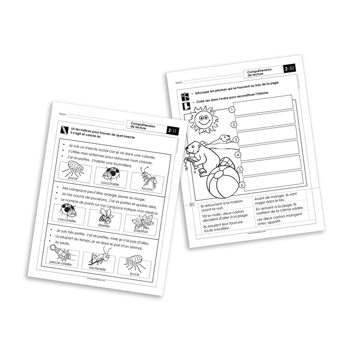 Français 2 - Compréhension de lecture A - Version numérique