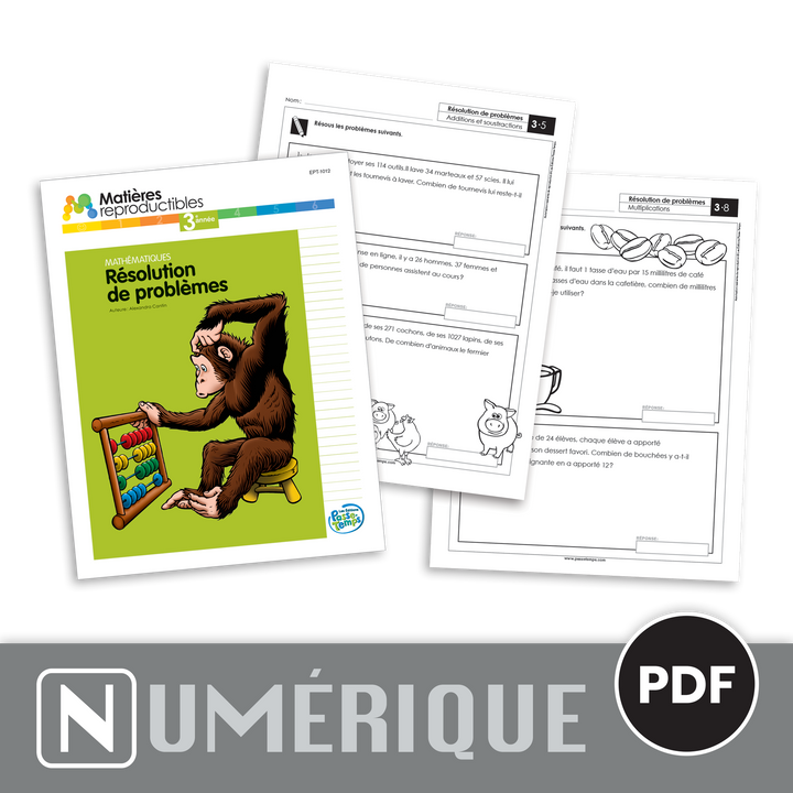 Mathématiques 3 - Résolution de problèmes - Version numérique