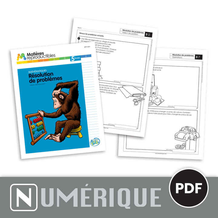 Mathématiques 5 - Résolution de problèmes - Version numérique