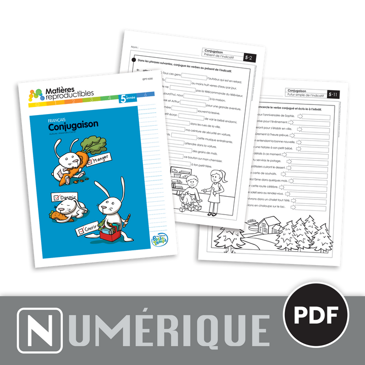 Français 5 - Conjugaison - Version numérique
