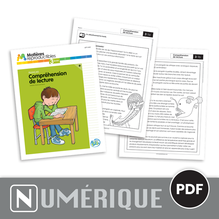 Français 3 - Compréhension de lecture - Version numérique