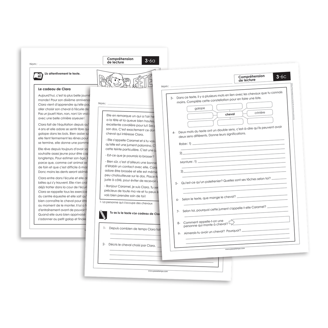 Français 3 - Compréhension de lecture - Version numérique