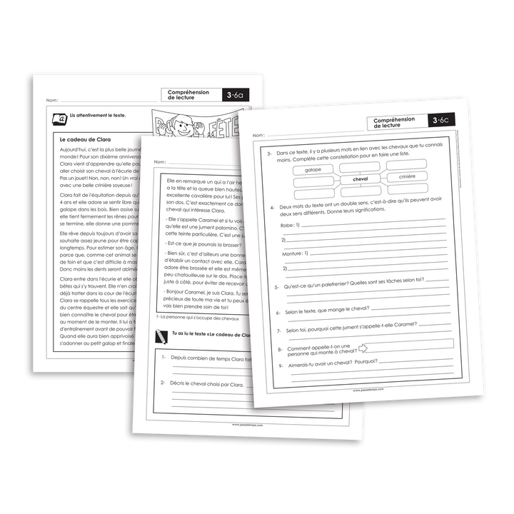 Français 3 - Compréhension de lecture - Version numérique