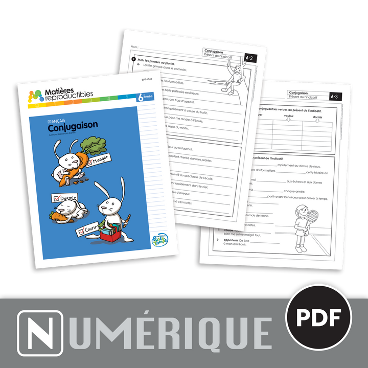 Français 6 - Conjugaison - Version numérique