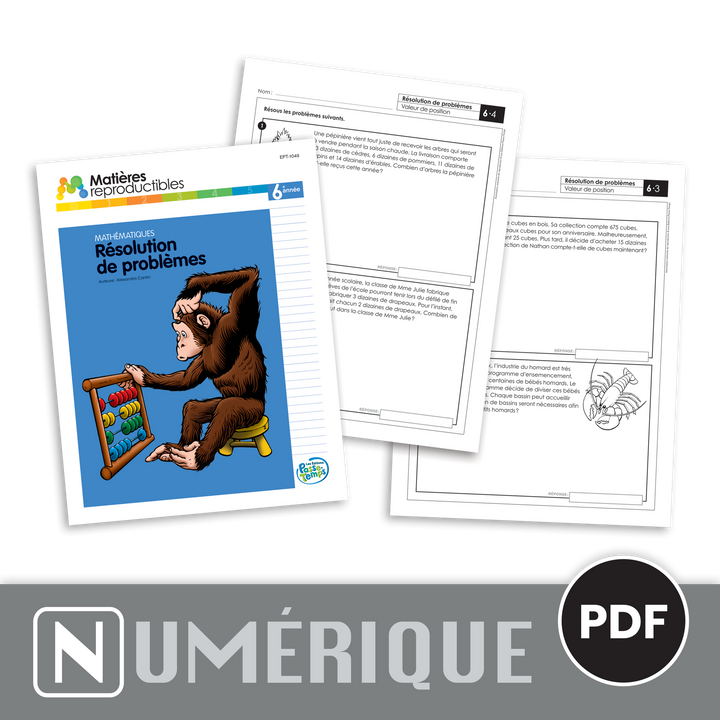 Mathématiques 6 - Résolution de problèmes - Version numérique