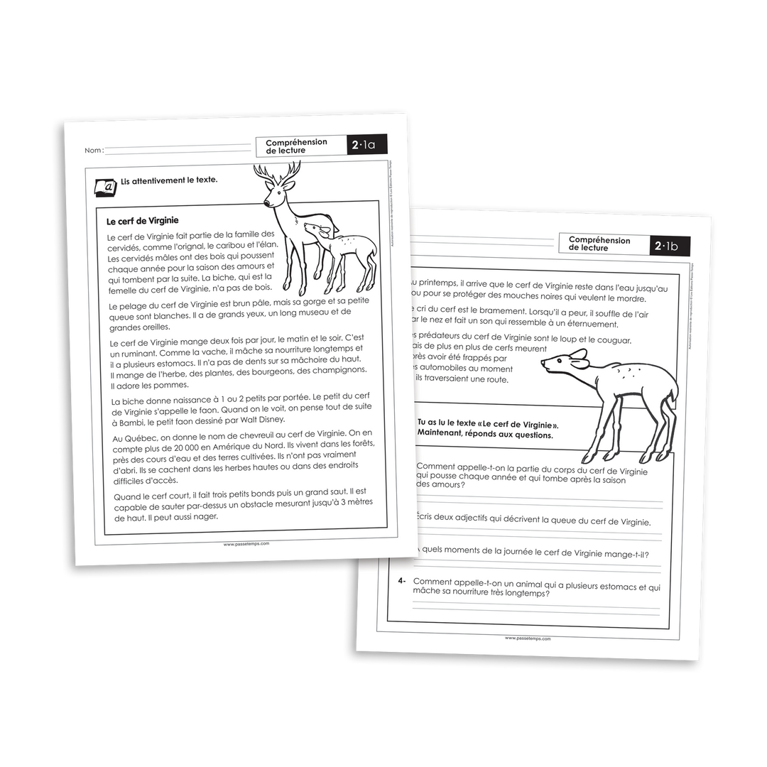 Français 2 - Compréhension de lecture C - Version numérique