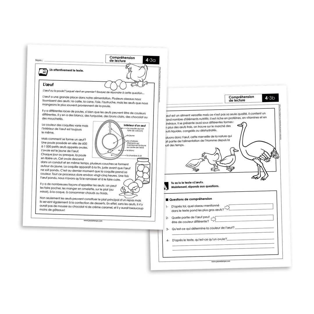 Français 4 - Compréhension de lecture - Version numérique