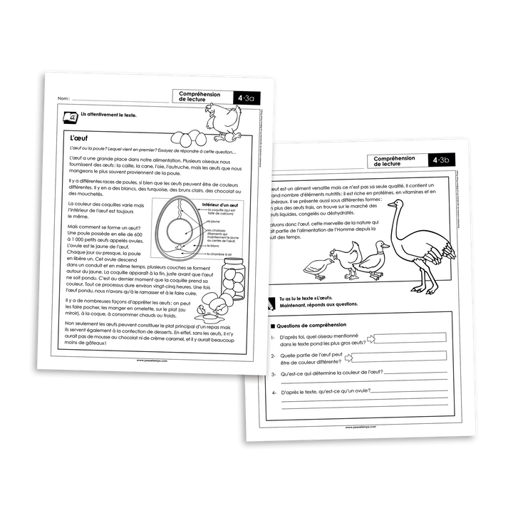 Français 4 - Compréhension de lecture - Version numérique