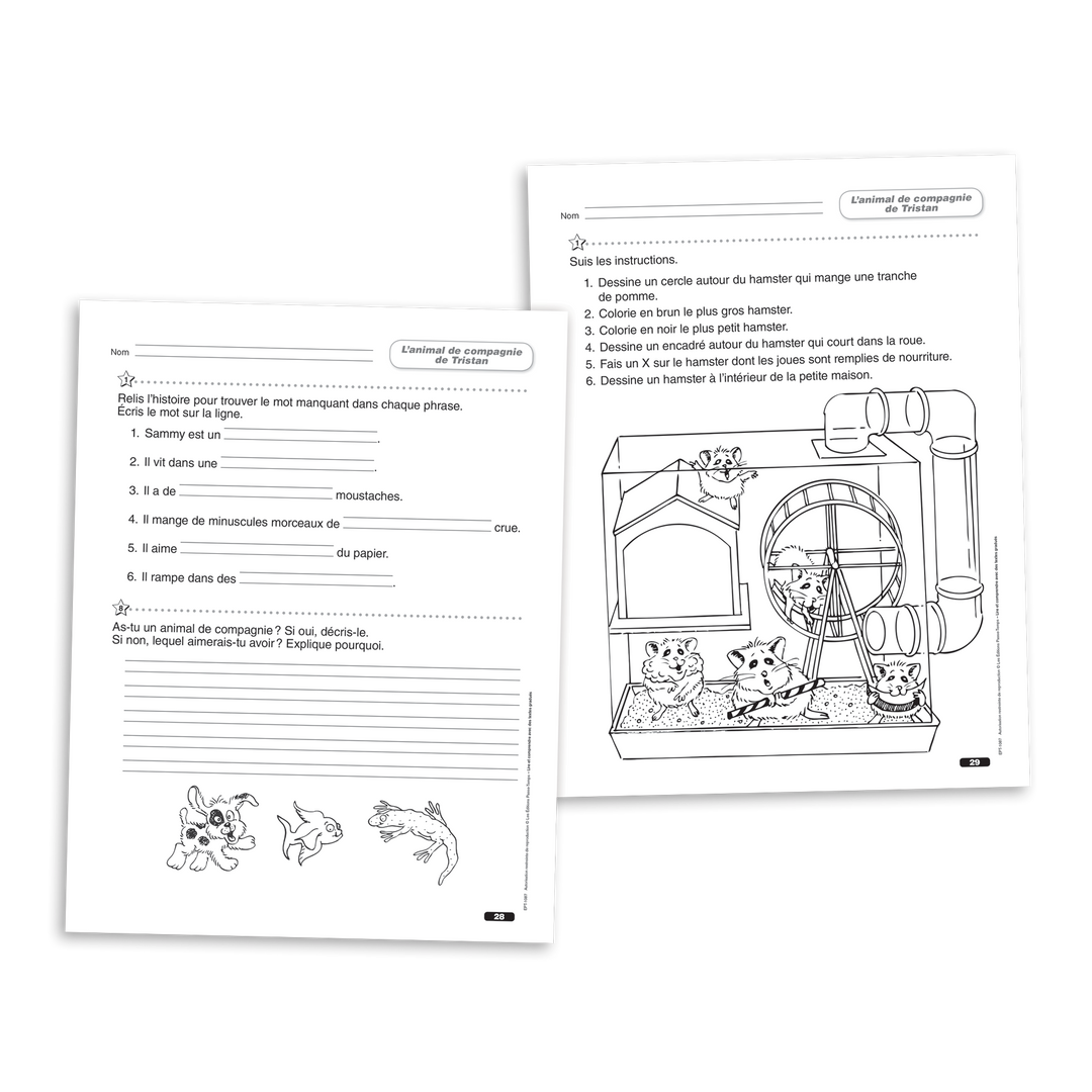 Lire et comprendre avec des textes gradués - 2e année - Cahier 1 - Version numérique