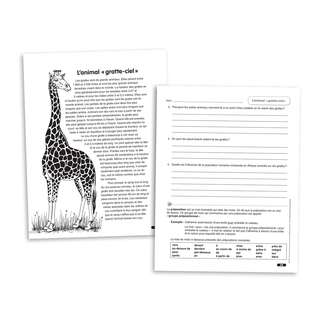 Lire et comprendre avec des textes gradués - 6e année - Cahier 2 - Version numérique