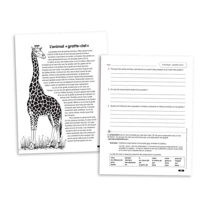 Lire et comprendre avec des textes gradués - 6e année - Cahier 2 - Version numérique