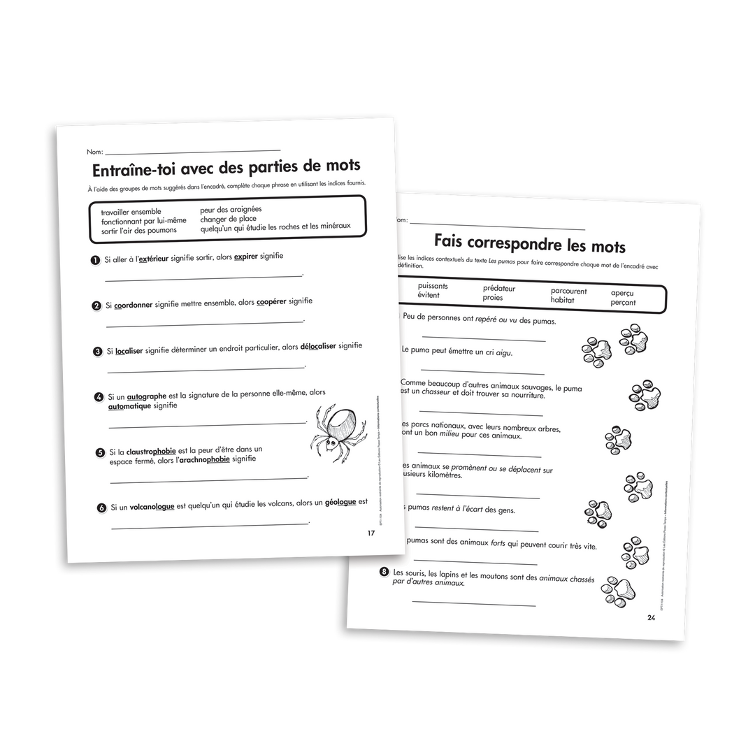 Habiletés de lecture - 2e cycle - Informations contextuelles - Version numérique