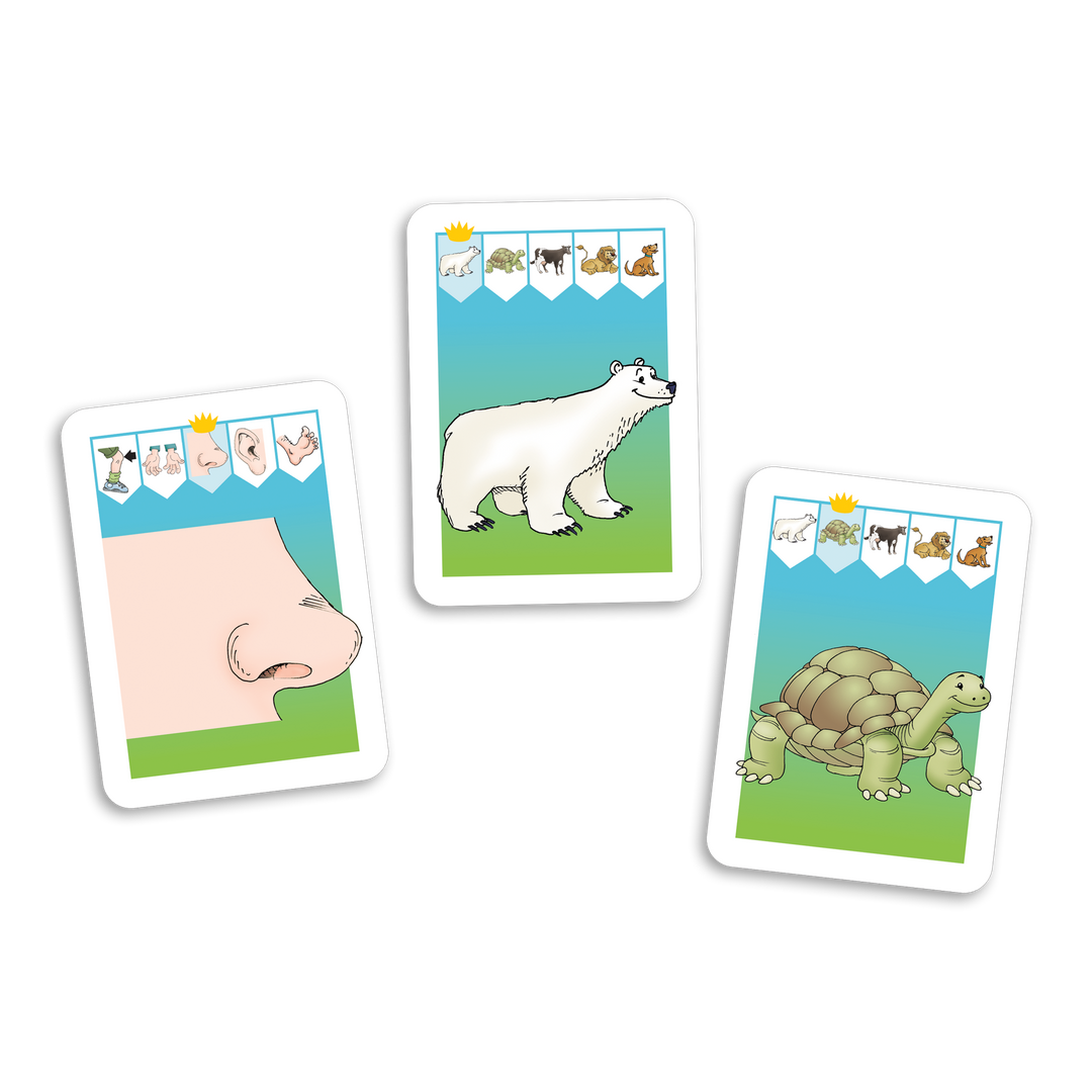 Au royaume des catégories, niveau 1