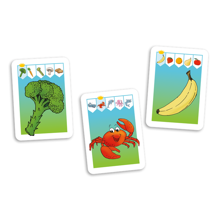 Au royaume des catégories, niveau 2