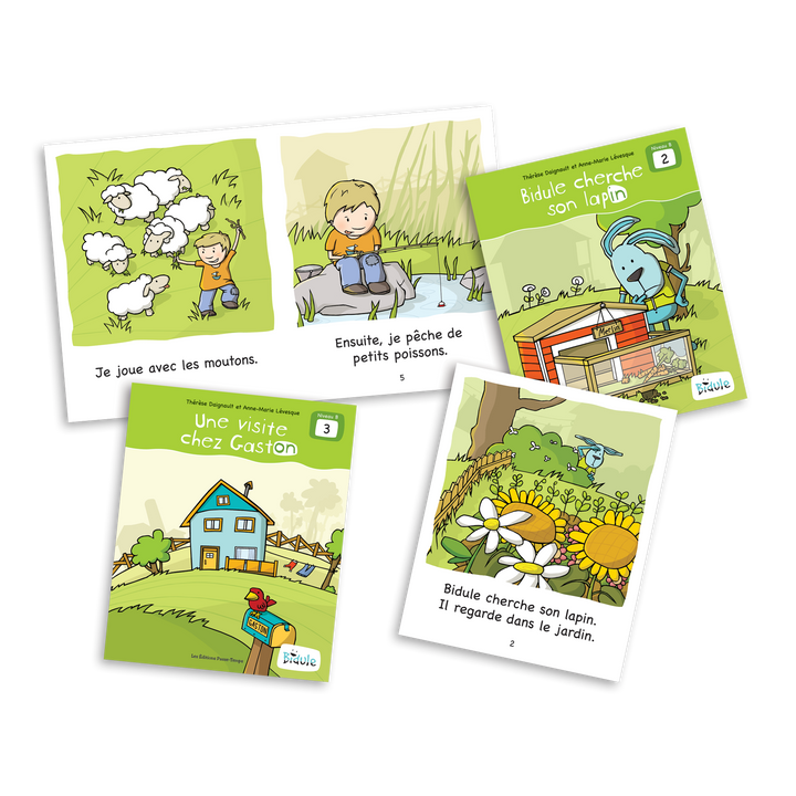 Bidule - Niveau B - Livrets 1 à 5