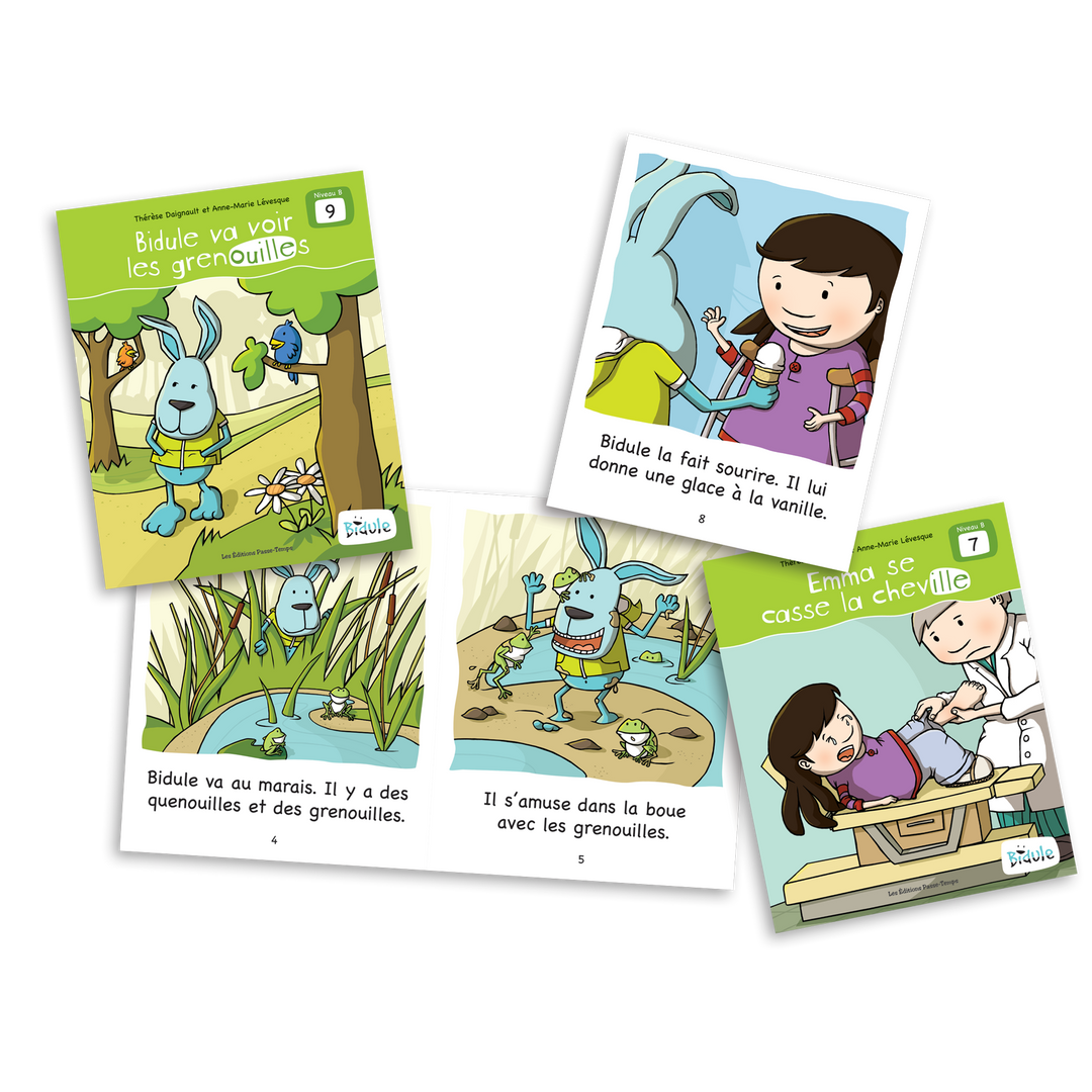 Bidule - Niveau B - Livrets 6 à 10