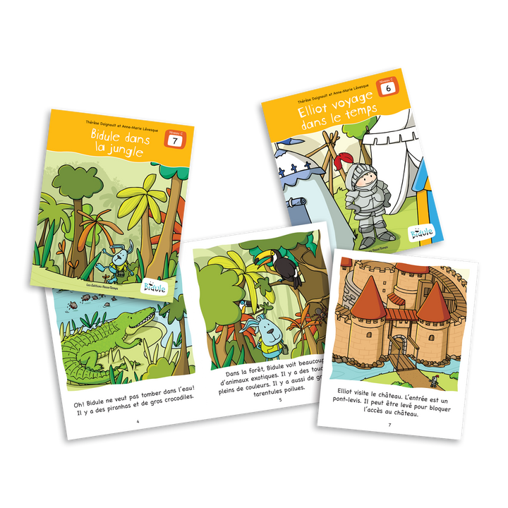 Bidule - Niveau C - Livrets 6 à 10