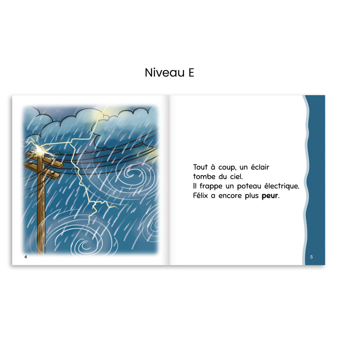 Ensemble Escalire - Collection complète