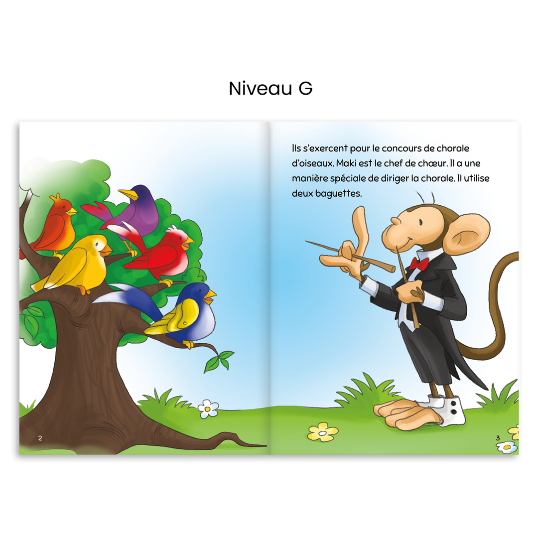 Ensemble Escalire - Collection complète