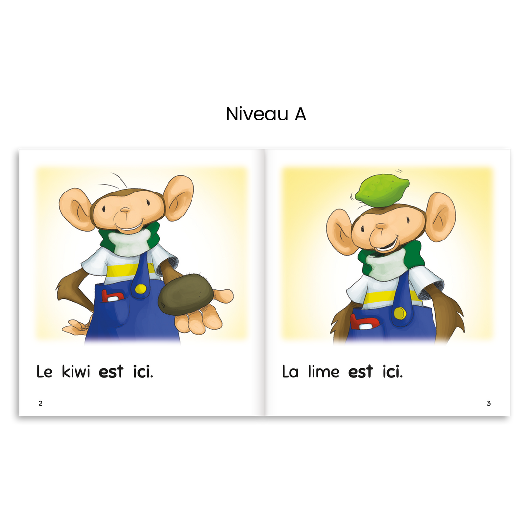 Escalire Numérique - 1re année (licence-école)