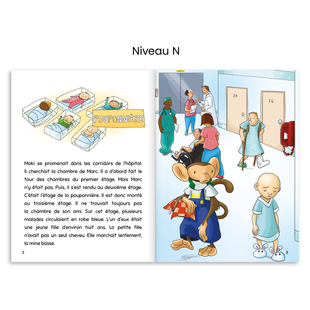 Escalire Numérique - 4e année (licence-école)