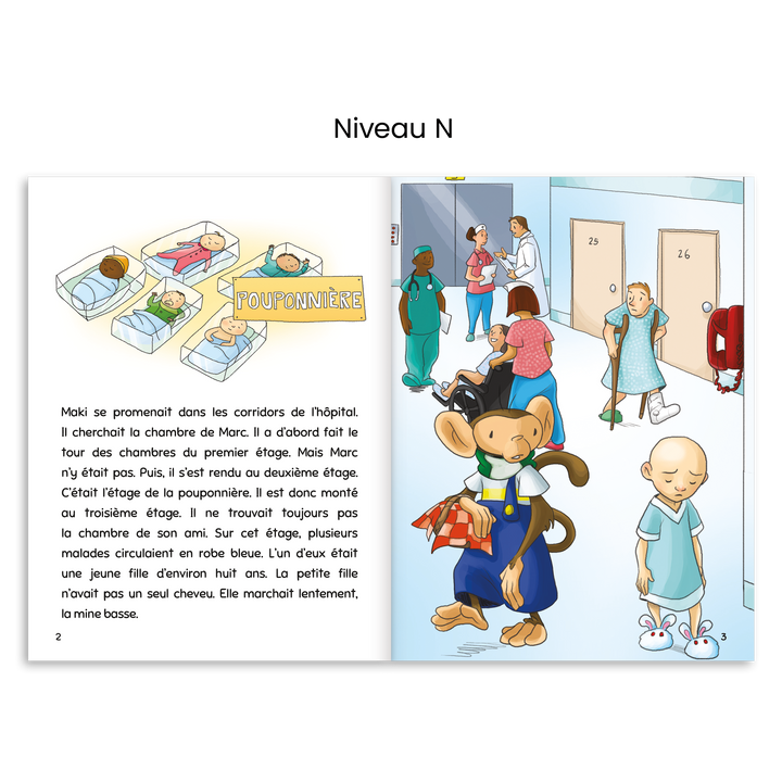 Escalire Numérique - 4e année (licence-école)