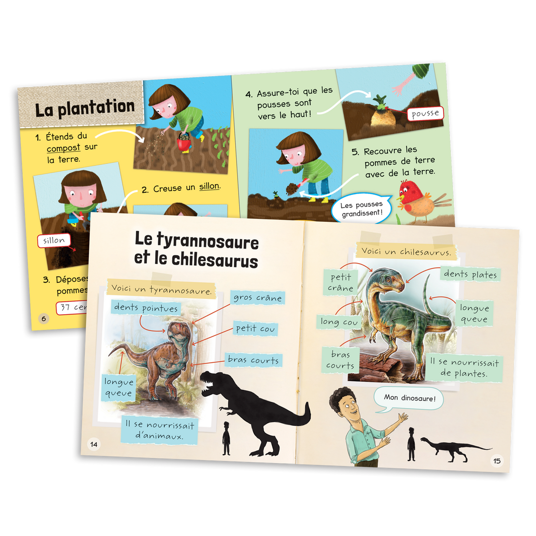 Dans les faits - Niveau 1B