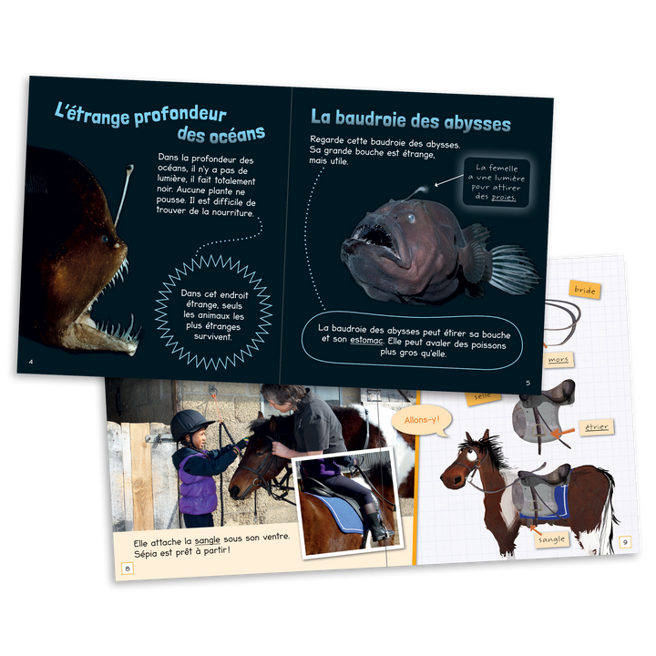 Dans les faits - Niveau 2