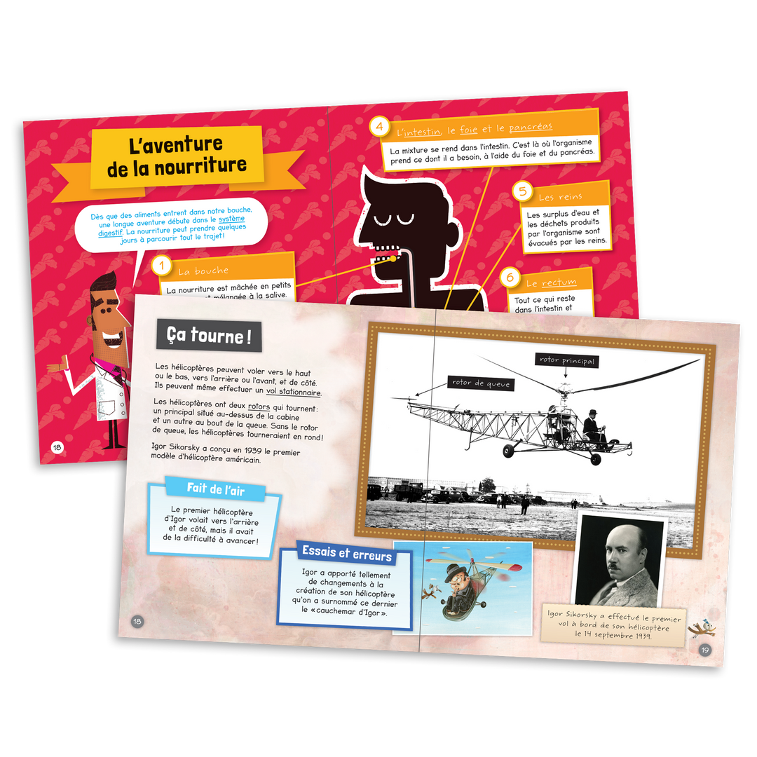 Dans les faits - Niveau 4