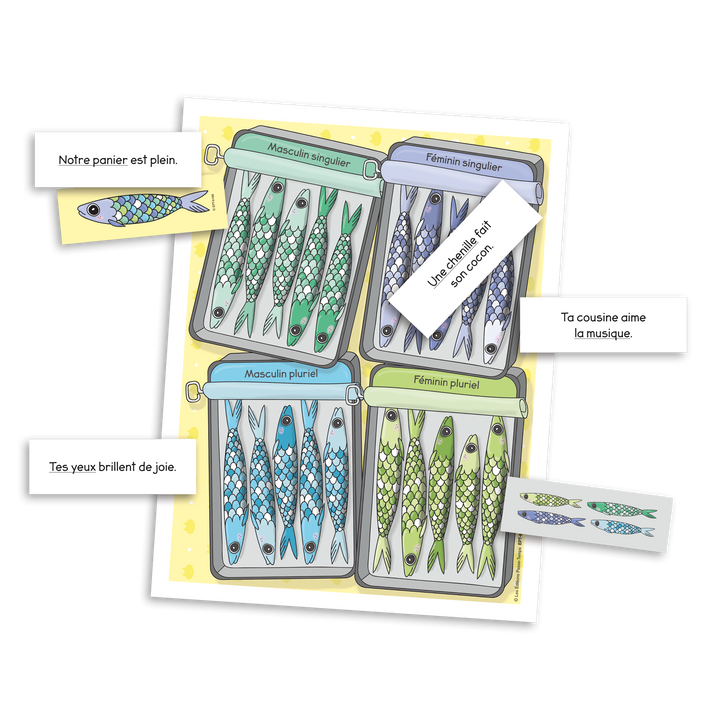 Accordées comme des sardines