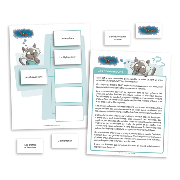 La grotte conceptuelle