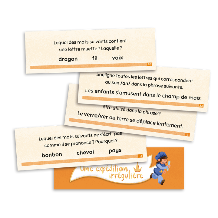 Une expédition irrégulière