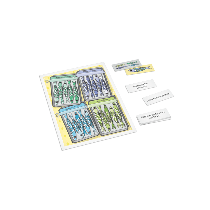 Ensemble Chics 2e année