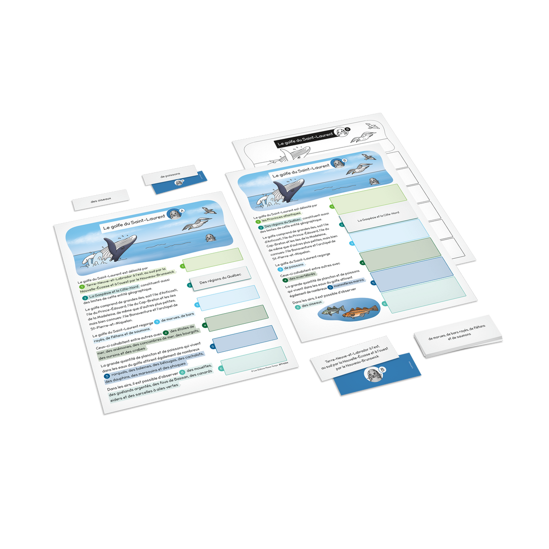 Ensemble Chics 5e année