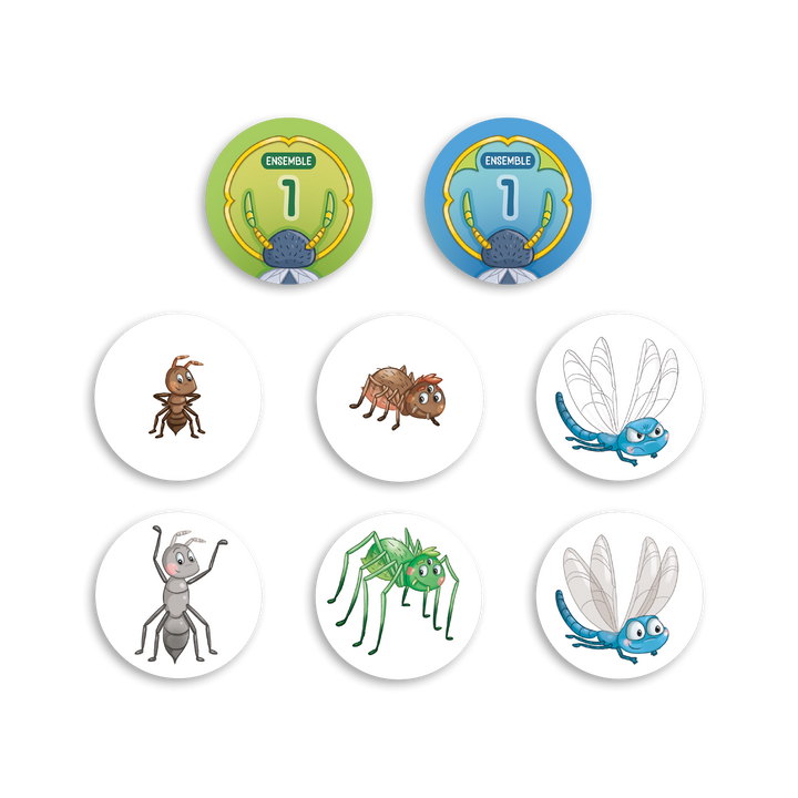 Dis-moi où : les adjectifs en genre