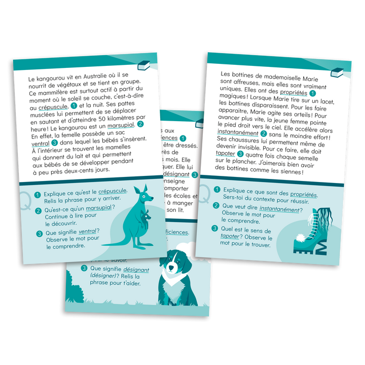 Cartes à lire 4e année - Vocabulaire