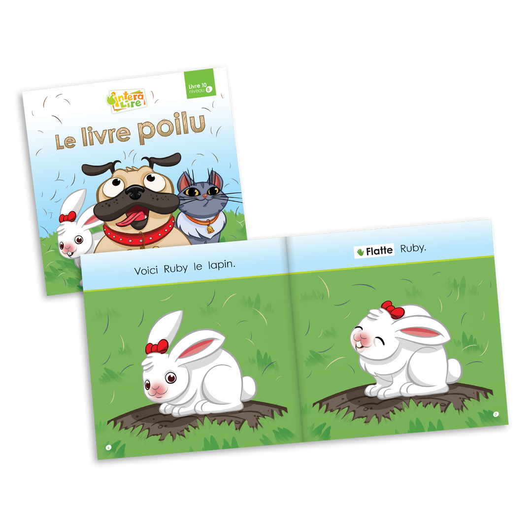 InteraLire - Niveau B - Livres 6 à 10