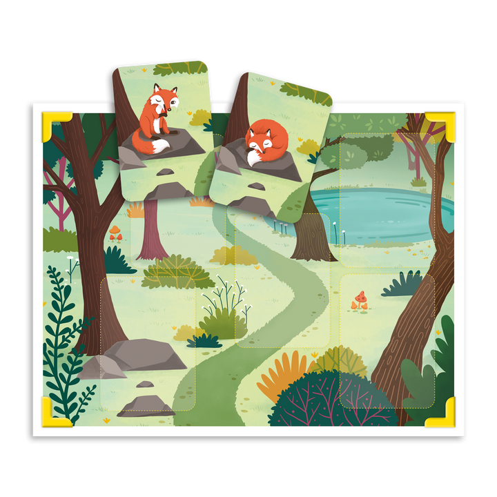 L'album photos - Les subordonnées relatives