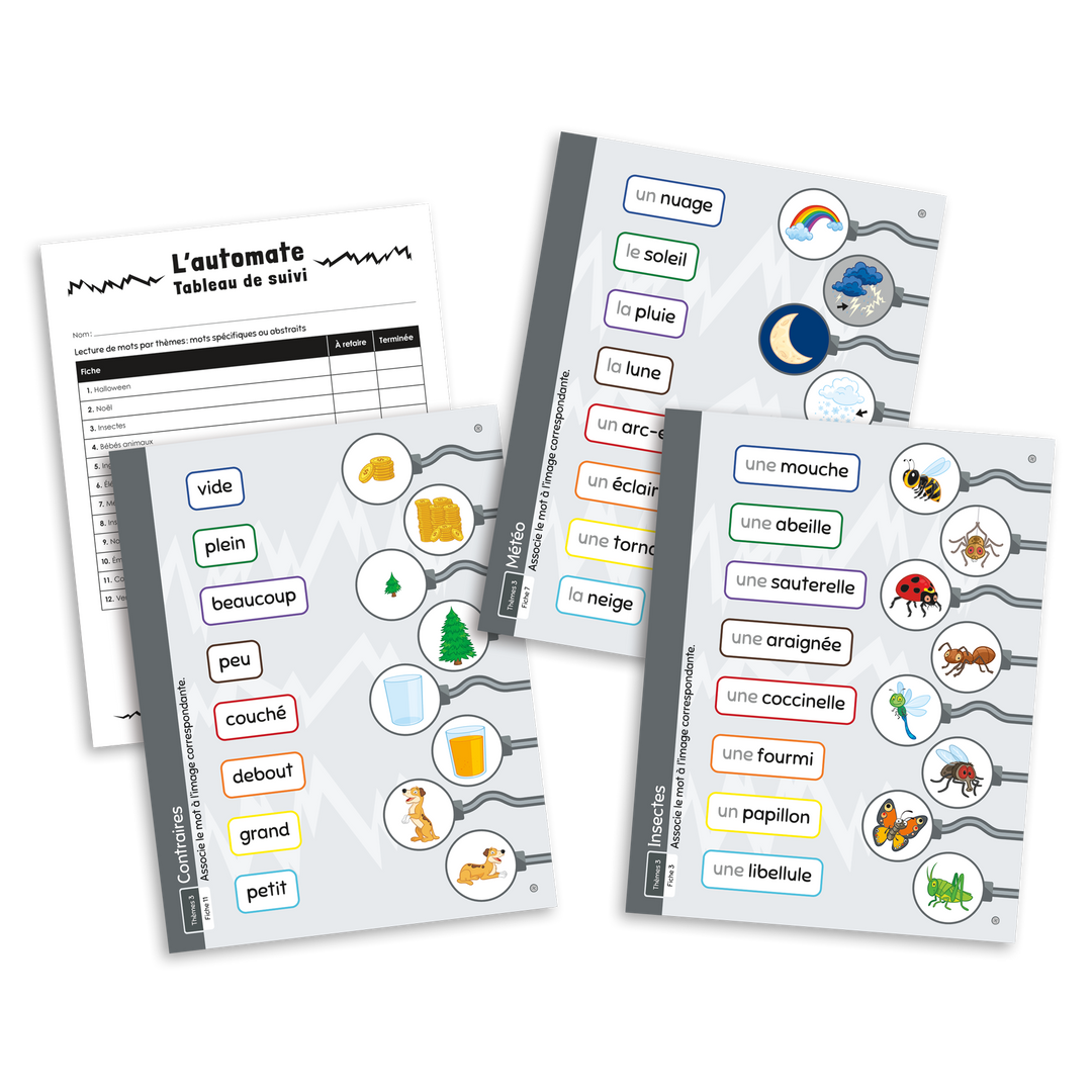L'automate - Lecture de mots par thèmes : mots spécifiques ou abstraits