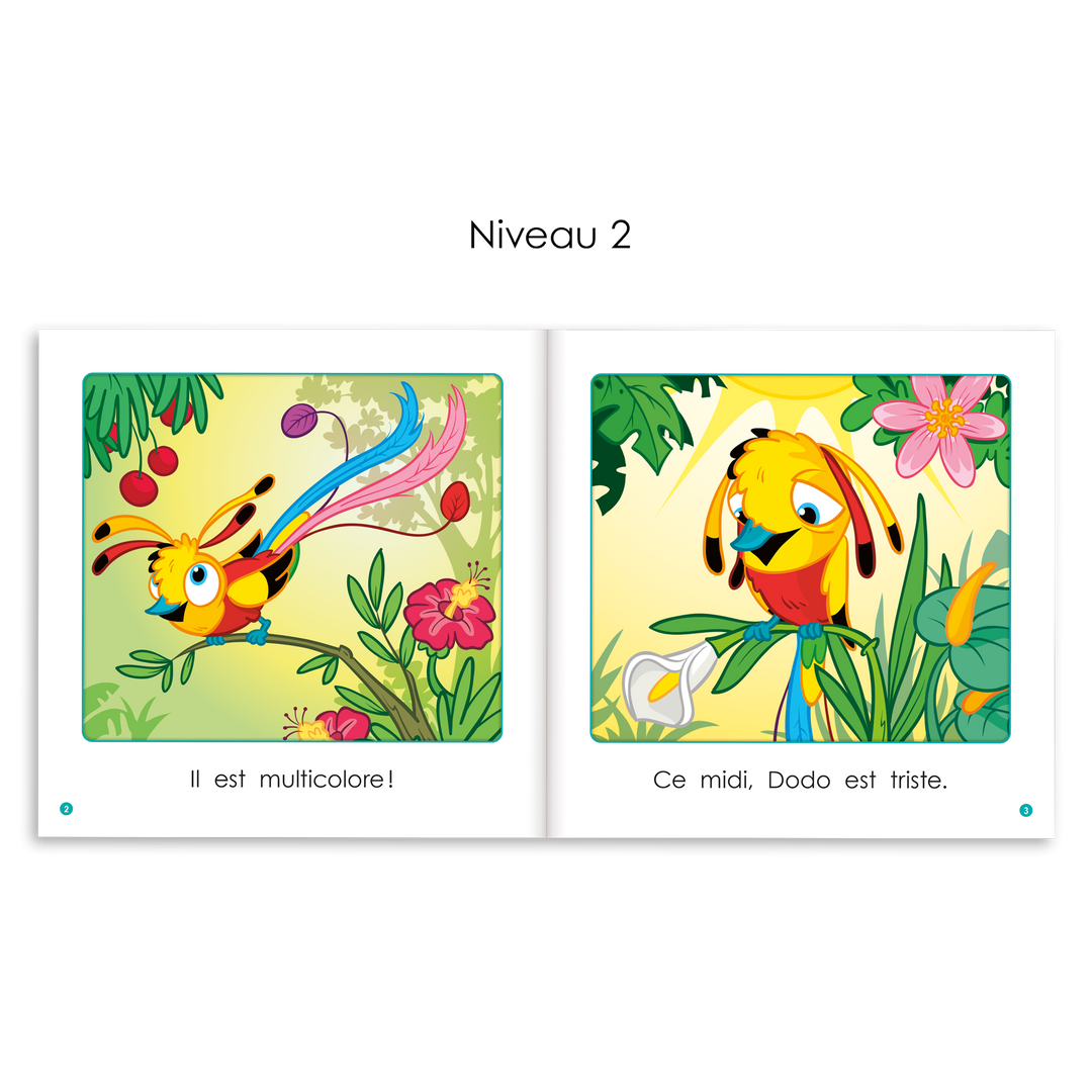 Décode Numérique - Série 2 : Consolidation - Livres 7 à 12 (licence-école)